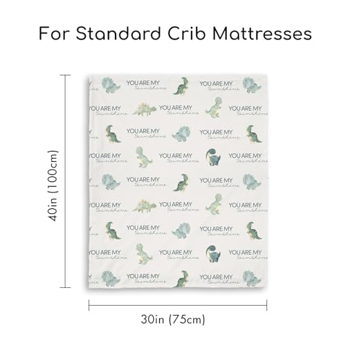 Fleece Baby Blankets for Girls & Boys, Infant Toddler Blanket - color: Blue Dinosaur