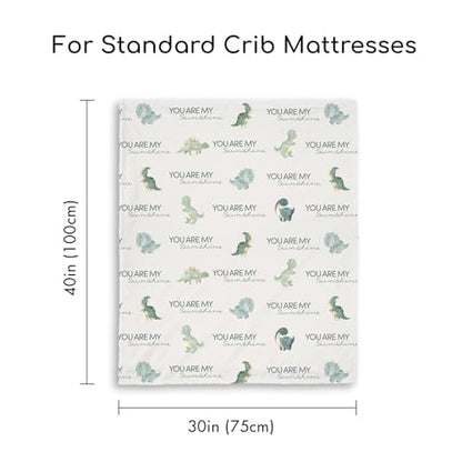 Fleece Baby Blankets for Girls & Boys, Infant Toddler Blanket - color: Blue Dinosaur