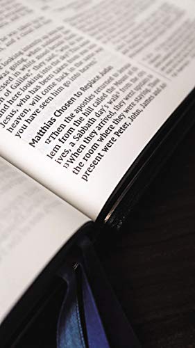 NIV, Thinline Bible, Large Print, Premium Goatskin Leather, Black, Premier Collection, Black Letter, Art Gilded Edges, Comfort Print