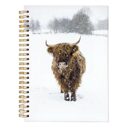 Cow Notebook Journal,Cow Gifts for Women - color: Highland cow