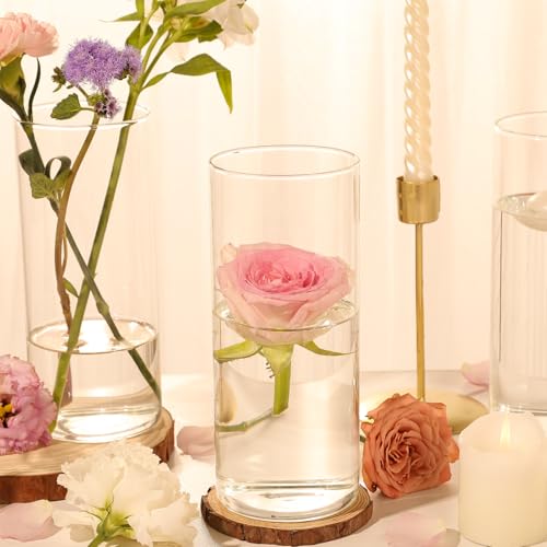 TBWIND 12pcs 8 Inch Clear Glass Cylinder Vases for Centerpieces - size: 12 Pack 8 Inch - Clear