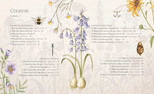 The Way of the Wildflower: Gospel Meditations to Unburden Your Anxious Soul