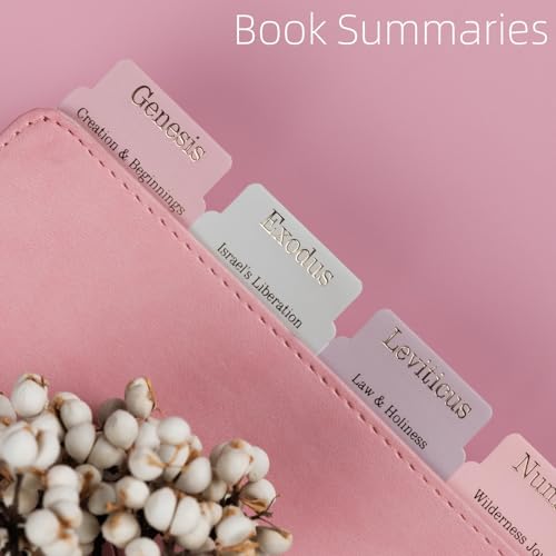 UPAFEXXI-Laminated Bible Tabs with Book Summaries - color: Summaries Morandi