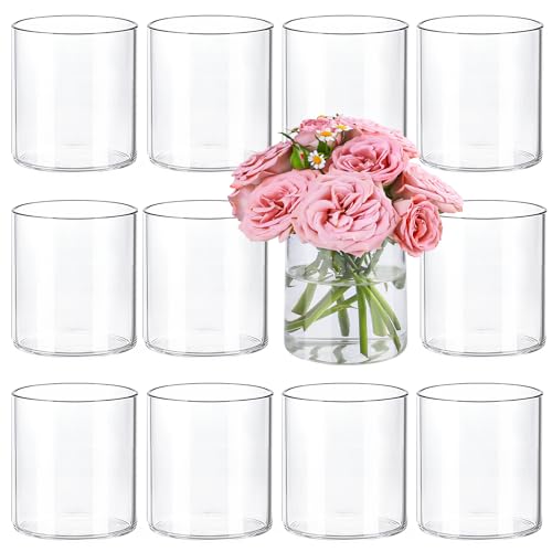 TBWIND 12pcs 4 Inch Clear Glass Cylinder Vases for Centerpieces - size: 12 Pack 4 Inch - Clear