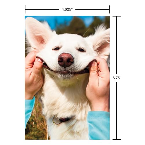 Recycled Paper Greetings 30-Count Funny All Occasion Card Assortment with Envelopes, Seals, and Storage Box by Hey Look! - color: Funny All Occasion Card Assortment, size: 4.625 inches x 6.75 inches