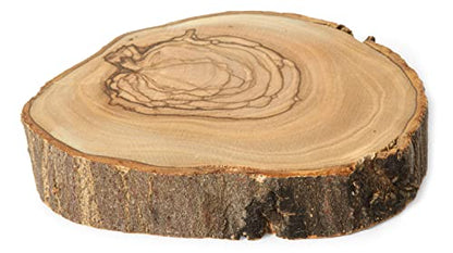 THE JERUSALEM GIFT SHOP SINCE 2004 Handcrafted Olive Wood Loaves and Fish Display - Biblical Miracle Replica from Bethlehem - Religious Home Decor & Souvenir