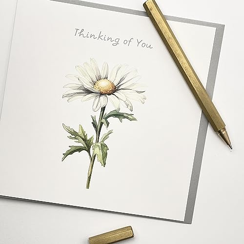 Old English Co. Thinking of You Card for Men and Women - Floral Daisy Chamomile Painting Card - Sorry For Your Loss, Condolences, Get Well Soon Card for Him or Her | Blank Inside with Envelope