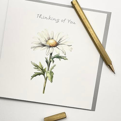 Old English Co. Thinking of You Card for Men and Women - Floral Daisy Chamomile Painting Card - Sorry For Your Loss, Condolences, Get Well Soon Card for Him or Her | Blank Inside with Envelope