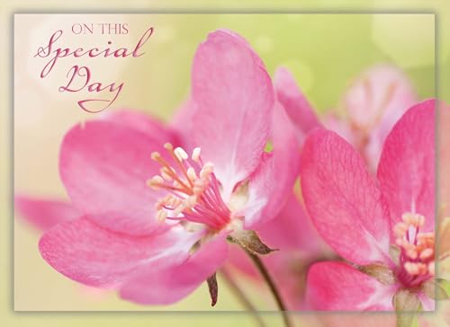 Birthday Blossoms Cards KJV, 12 Count