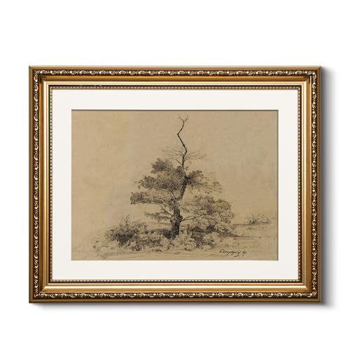 HUARCEY Vintage Gold Framed Relief Tree Sketch Canvas Wall Art 13x16 Inch - color: Harpignies 47, size: 16"L x 13"W