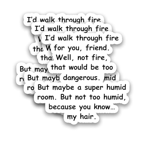 (3Pcs) Best Friend Sticker - I’d Walk Through Fire for You, Well Not Fire - Funny Friendship Stickers for Women, Bestie, Soul Sister, Vinyl Decal for Laptop Scrapbook Water Bottle Phone, 3" x 3'' - color: I'd Walk Through Fire for You, Friend.