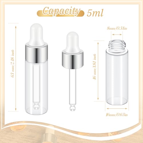 Didaey 100 Pcs Mini Glass Oil Dropper Bottle, 5 ml, Classic Silver - color: Classic Silver, size: 5 ml