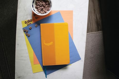 NIrV, The Illustrated Holy Bible for Kids, Leathersoft, Yellow, Full Color, Comfort Print: Over 750 Images