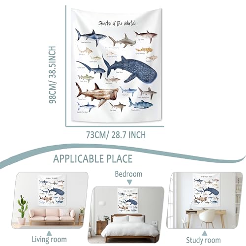 KAIOUS Shark Wall Hanging Tapestry for Kids, 28x38 - color: Shark, size: 38"L x 28"W