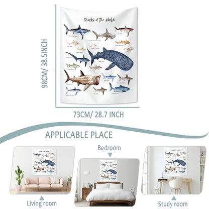 KAIOUS Shark Wall Hanging Tapestry for Kids, 28x38 - color: Shark, size: 38"L x 28"W