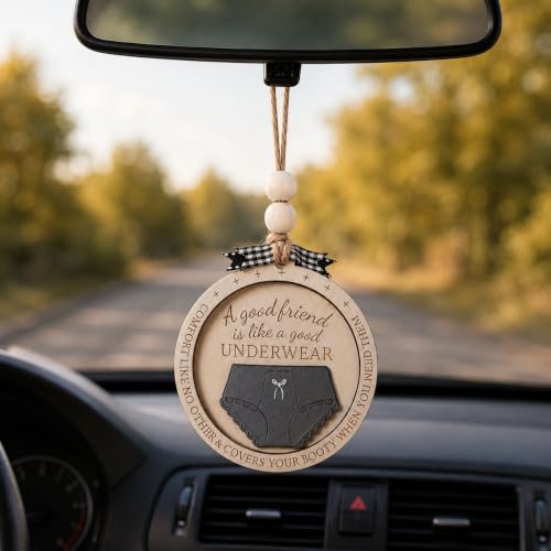 Funny Best Friend Christmas Ornament with Bra & Underwear Pun Design - color: Multi Color