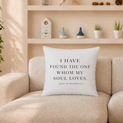 Christian Bible Verse 18x18 Pillow Cover - color: Christian Bible Verse