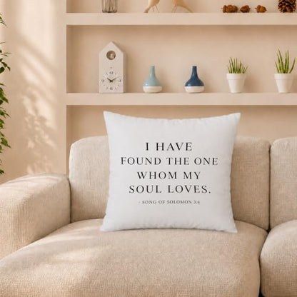 Christian Bible Verse 18x18 Pillow Cover - color: Christian Bible Verse