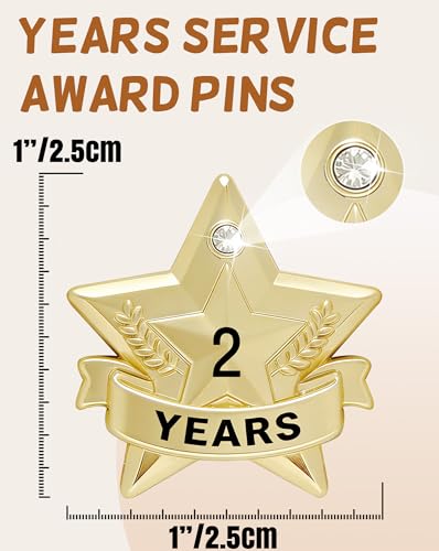 Years of Service Pins, Gold Star Pin for 1-30 Year Work Anniversary, Long Standing Employee Recognition Award Star Pins for Staff, Team & Volunteers - style: 2 Years