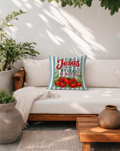 Preppy Blue Striped Christmas Tomato Pillow Cover 18x18 - color: Blue Striped