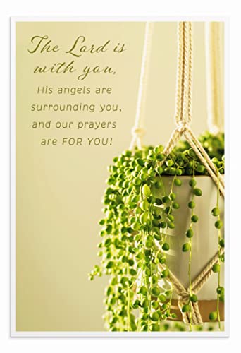 DaySpring - Encouragement - God is with You - 4 House Plant Designs Assortment with Scripture - 12 Encouragement Boxed Cards & Envelopes (U0064)