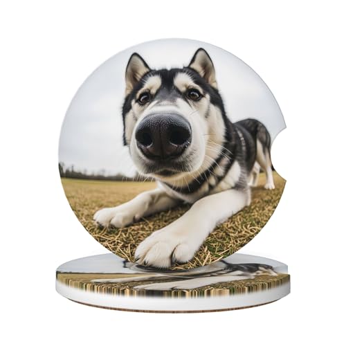 Car Coasters for Cup Holder 2 Pack - Dog - color: Dog
