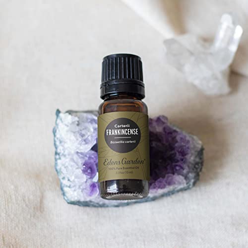 Edens Garden Frankincense- Carterii Essential Oil- 100% Pure 10 ml (.33 oz) - size: 0.33 Fl Oz (Pack of 1)