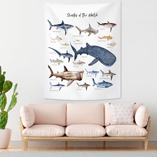 KAIOUS Shark Wall Hanging Tapestry for Kids, 28x38 - color: Shark, size: 38"L x 28"W