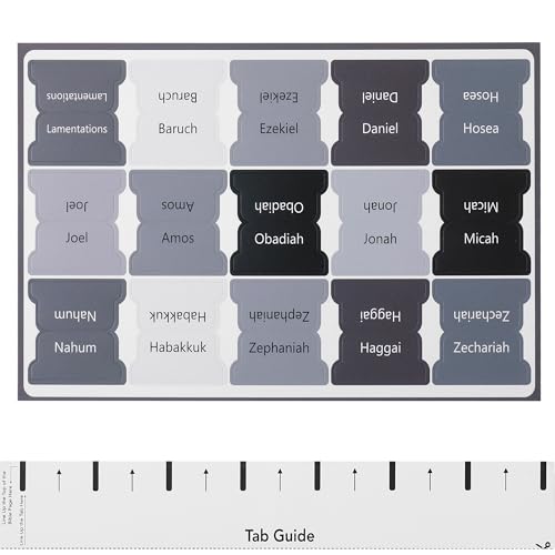 Mr. Pen- Bible Tabs, 75 Tabs, Gray, Laminated Bible Tabs for Women and Men - color: Gray 2