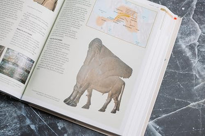 Zondervan Handbook to the Bible, Sixth Edition: New Maps and Charts, Photos, and Articles Bring the Bible to Life