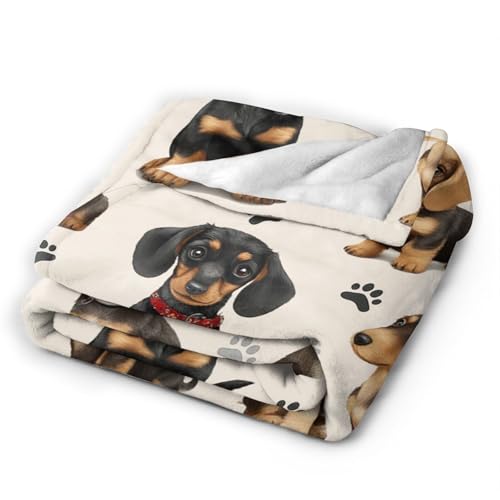 Dachshund Blanket Gifts for Dogs Lover Dog Throw Blanket Soft Cozy Fleece Fuzzy Plush Flannel Blankets for Women Girls Kids Teens Adults 80"x60" - color: Dachshund, size: 80"x60"
