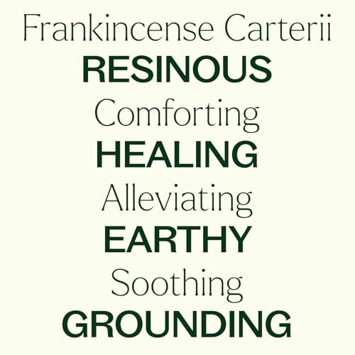 Plant Therapy Frankincense Carterii Essential Oil Pre-Diluted Roll-On - style: Convenient