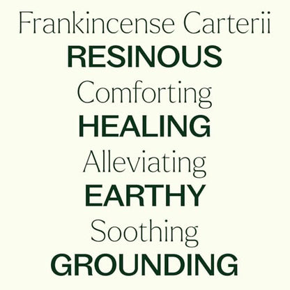 Plant Therapy Frankincense Carterii Essential Oil Pre-Diluted Roll-On - style: Convenient