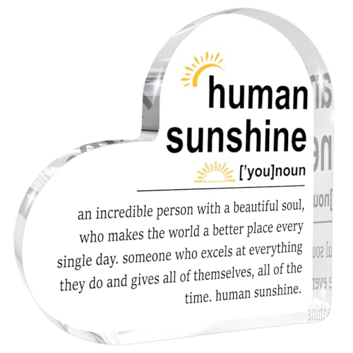 Human Sunshine Motivational Gift for Women Men, Employee Appreciation - color: Human Sunshine