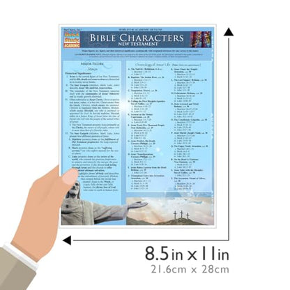 Bible Characters: New Testament: QuickStudy Laminated Reference Guide