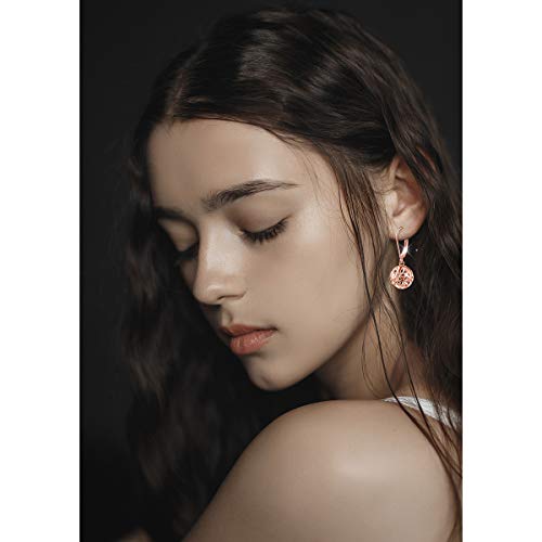 S925 Sterling Silver Heart Dangle Drop Earrings for Women Jewelry Gift - style: Heart Drop Rose