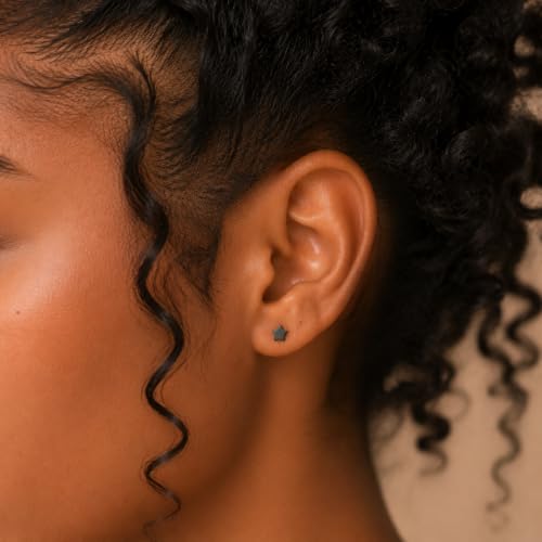 FLECHAZO Titanium Gunmetal Flat Back Earrings,Screw Back Earrings, ASTM F136 Implant Grade with Internally Threaded Front Screw, Interchangeable Posts 16G 8mm or 18G 9mm, Hypoallergenic for Cartilage Helix Tragus Conch Lobe (Sold as 1 Single Earring) - st