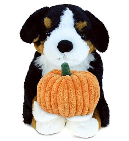 DolliBu Super Soft Bernese Mountain Dog Stuffed Animal with Pumpkin Decor - Pumpkin Plush Animal for Fall, Halloween and Thanksgiving, Pumpkin Toy for Baby, Kids, Adults - 8 Inches