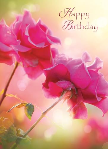 Birthday Blossoms Cards KJV, 12 Count