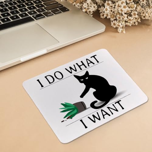 hold fizz Funny Cat Mouse Pad, Small Cute Cat Desk Accessories Mouse Pad, Mouse Mat Square Non-Slip Rubber Base Gaming Mousepad for Desk Computer Laptop Office, 9.5x7.9 Inch - color: Funny Cat