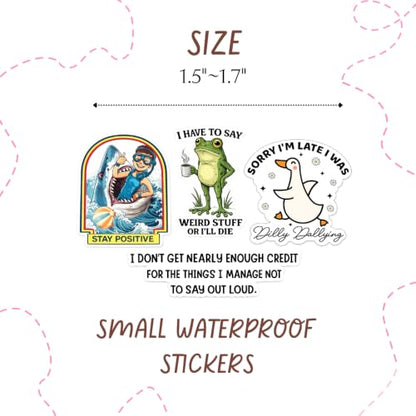 NEW 2026 Funny Stickers Pack 120PC Bulk Set Cute Cool Novelty Meme Decals Waterproof Vinyl Stickers for Laptop Water Bottle Phone Luggage Scrapbook Journal Accessories Decorative for Men Women Adults - style: Funny
