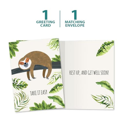 Tree-Free Greetings "Take It Slow" Sloth Get Well Card - 1 Recycled 5x7 Card & Matching Envelope, Thick Cardstock, Sustainably Made in USA - Relaxing Jungle Theme - color: Sloth Slow Lane