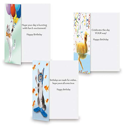 Current Happy Birthday Greeting Card Set - style: Animal