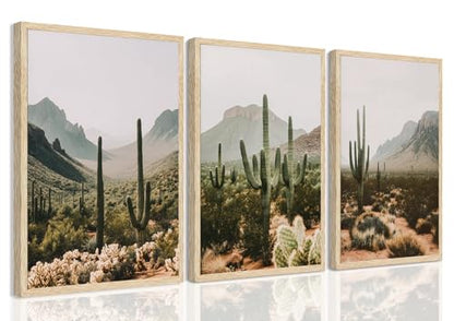 YUFEIART 3 Piece Green Sonoran Cactus Framed Wall Art Set of 3 12x16 - color: Green Cactus, size: 12x16 Framed