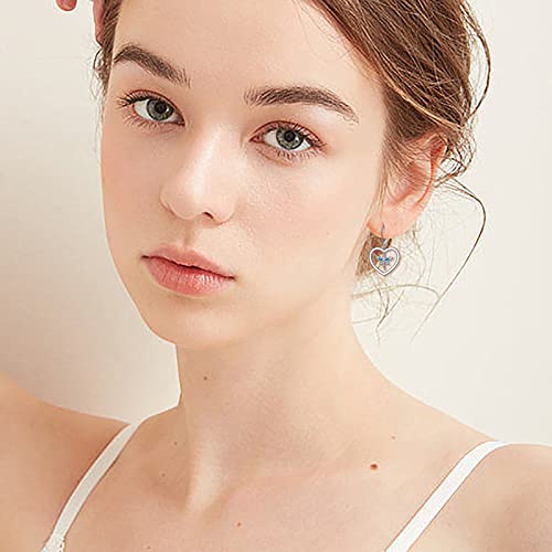 S925 Sterling Silver Heart Dangle Drop Earrings for Women Jewelry Gift - style: Dragonfly