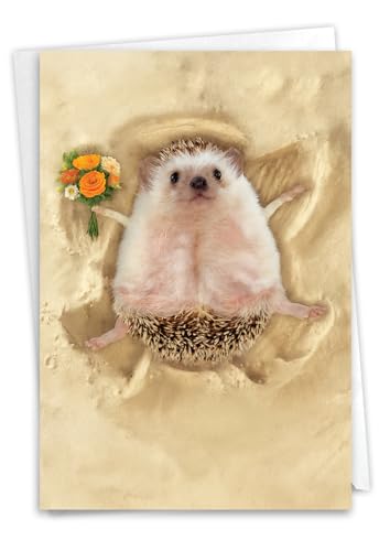 NobleWorks Funny Get Well Greeting Card with 5 x 7 Inch Envelope (1 Card) Sand Angels - Hedgehog C6844CGWG - style: Sand Angels - Hedgehog