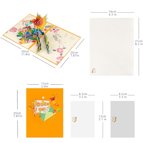 3D Parrot Pop Up Card for Women Men, Thinking Of You Card - color: Parrot