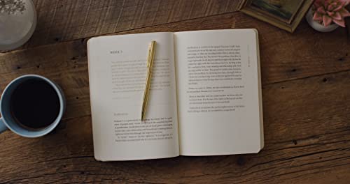ESV Prayer Journal: 30 Days on the Gospel (Paperback)