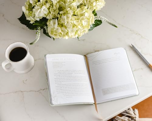 100 Days to Be Still and Know: Devotional Journal