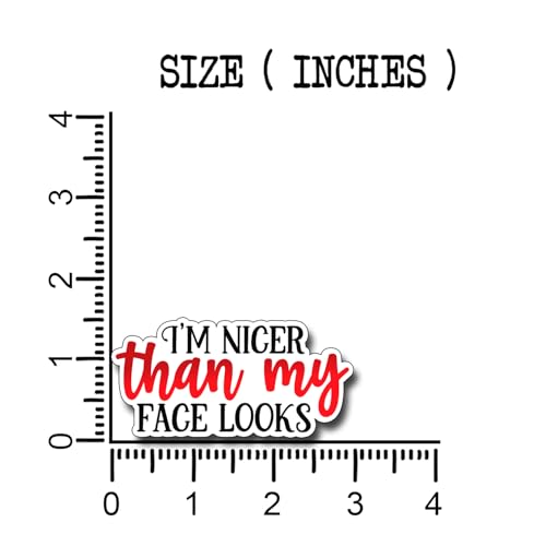 (3Pcs) I'm Nicer Than My Face Looks Sticker Funny Sayings Humorous Quotes Decorate Books Laptop Phone Water Bottles Kindles Tumbler Waterproof Vinyl Stickers 3 x 1,7" Inch - color: I'm Nicer Than My Face Looks